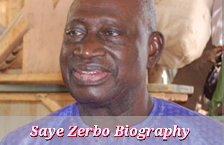 Saye Zerbo Biography