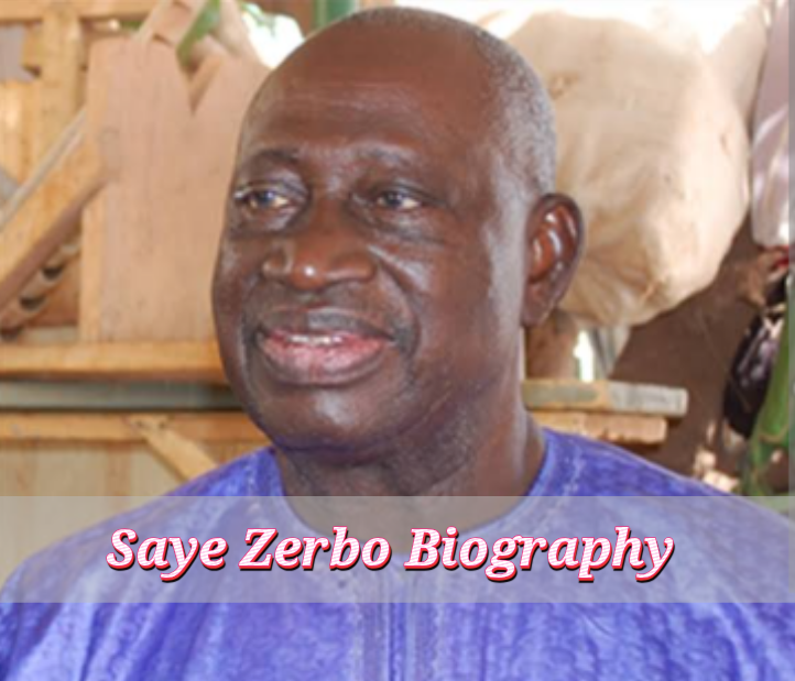 Saye Zerbo Biography