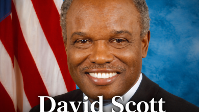 David Scott Biography