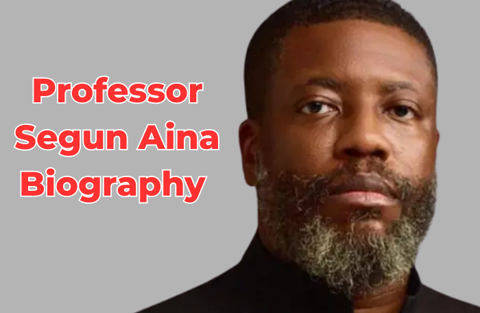 Professor Segun Aina Biography
